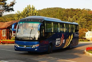 小微型客車租賃經(jīng)營服務(wù) 發(fā)展現(xiàn)狀與行業(yè)前景